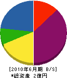 金子住建興業 貸借対照表 2010年6月期