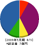尾崎建設 貸借対照表 2009年5月期