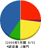 藤本建設 貸借対照表 2008年5月期