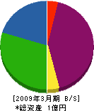 細川組 貸借対照表 2009年3月期