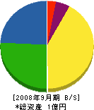 ビージーエム沖縄 貸借対照表 2008年9月期