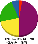 湘南石産 貸借対照表 2009年12月期