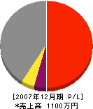 大田工務店 損益計算書 2007年12月期