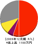 田子建設 損益計算書 2009年12月期