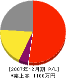下柳田タタミ店 損益計算書 2007年12月期