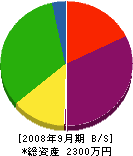 佐賀ユノカ 貸借対照表 2008年9月期