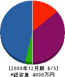 会津造園緑化 貸借対照表 2009年12月期