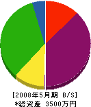 イケダ・ホーム 貸借対照表 2008年5月期