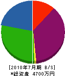 小川建設 貸借対照表 2010年7月期