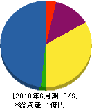 小野瀬住宅設備機器 貸借対照表 2010年6月期
