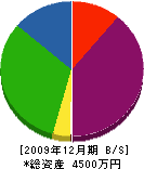 鈴木建築工業 貸借対照表 2009年12月期