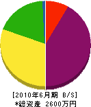 坂本建設 貸借対照表 2010年6月期