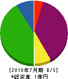 辻クレーン工業 貸借対照表 2010年7月期