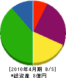 日本環境管理センター 貸借対照表 2010年4月期