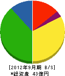 日本フォームサービス 貸借対照表 2012年9月期