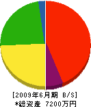 辻鉄工 貸借対照表 2009年6月期