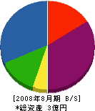 松藤 貸借対照表 2008年8月期