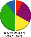 日本環境管理センター 貸借対照表 2008年4月期