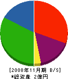 伊藤建材 貸借対照表 2008年11月期
