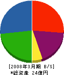 渡辺産業 貸借対照表 2008年3月期
