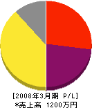 琉高商会 損益計算書 2008年3月期