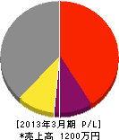 島田電機商会 損益計算書 2013年3月期