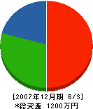 千代田電設 貸借対照表 2007年12月期