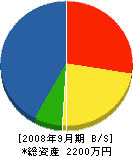 長洲総業 貸借対照表 2008年9月期