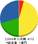 小杉電機 貸借対照表 2008年12月期