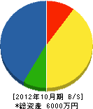 坂藤建設 貸借対照表 2012年10月期