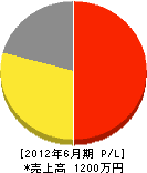 円一 損益計算書 2012年6月期