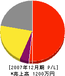 田中新装店 損益計算書 2007年12月期