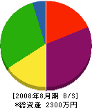 三ノ京組 貸借対照表 2008年8月期