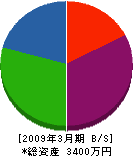 柳田造園 貸借対照表 2009年3月期