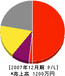 江尻防水工業 損益計算書 2007年12月期
