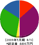 片岡環境エンジニア 貸借対照表 2009年5月期