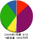松田電気商会 貸借対照表 2009年3月期