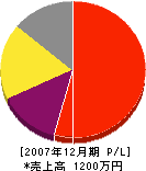 小島電設 損益計算書 2007年12月期