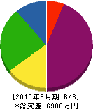 瀧谷組 貸借対照表 2010年6月期