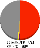 秀栄 損益計算書 2010年6月期