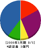 村上建設 貸借対照表 2008年3月期