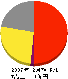國陽 損益計算書 2007年12月期
