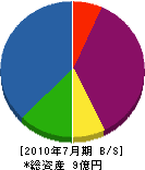新栄鉄工 貸借対照表 2010年7月期