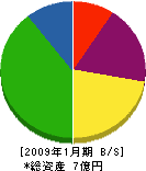 澤田工業 貸借対照表 2009年1月期