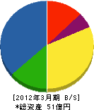 松本鉄工所 貸借対照表 2012年3月期