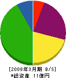 ジャパン・リサイクル・システム 貸借対照表 2008年3月期