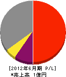 橋本工務店 損益計算書 2012年6月期