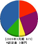 橋本建設 貸借対照表 2009年3月期