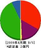 石田組 貸借対照表 2009年4月期