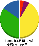 辻本土木工業 貸借対照表 2008年4月期